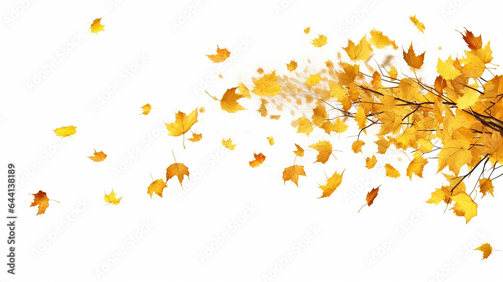 flying autumn leaves on a white background.