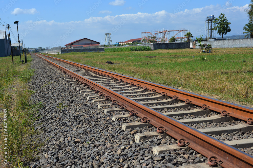 Fototapeta premium railway line in rice fields