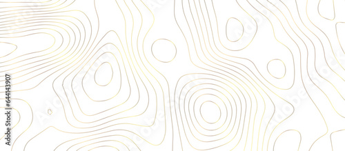 abstract White wave paper curved reliefs background .Panorama view gradient multicolor wave curve lines banner background design. Vector illustration. wave Line topography map contour background.