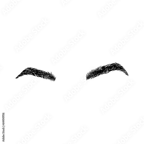 Eyebrow design logo. Vector brow. Minimalism.