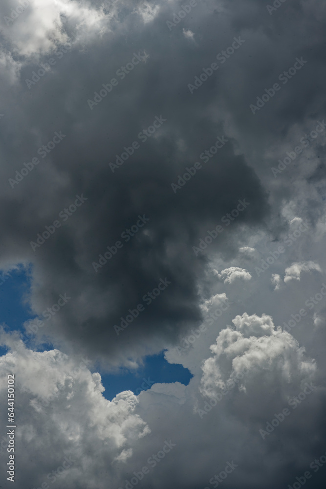 Obraz premium 台風が発生しています