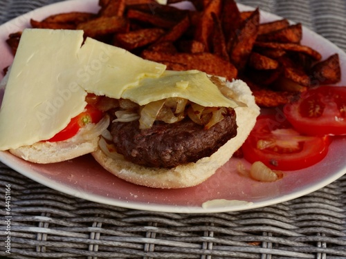 Homemade cheese burger and fries medium 