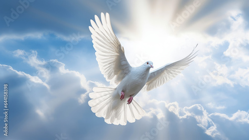 A white dove with wings wide open in the blue sky air with clouds.