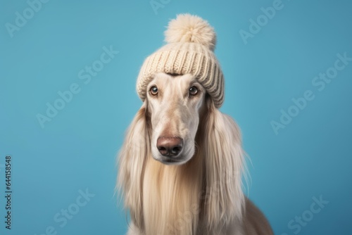 Photography in the style of pensive portraiture of a cute afghan hound dog wearing a knit cap against a cerulean blue background. With generative AI technology