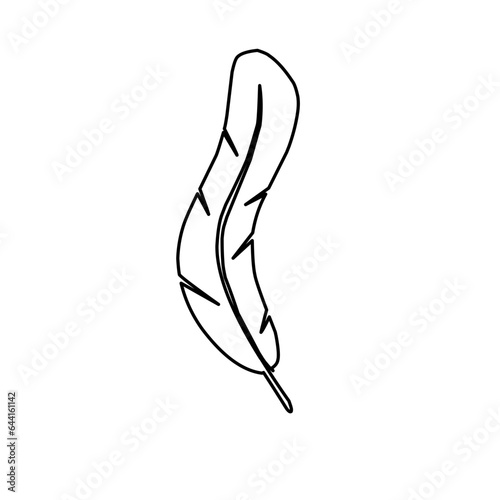 hand drawn feather outline