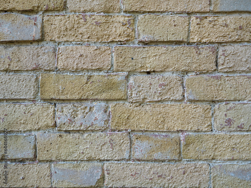 Fototapeta premium brick wall