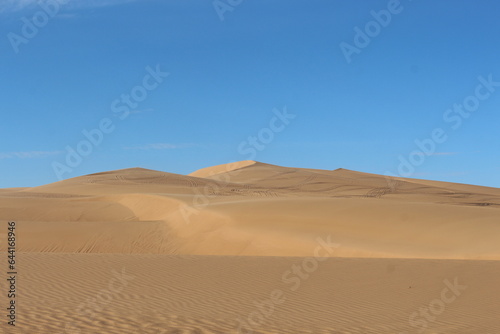 sand dunes in the desert