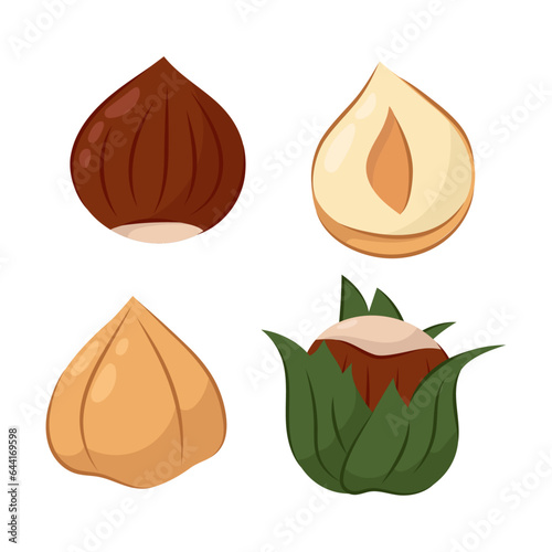 Vector illustration of hazelnuts in a flat style on a white background. Peeled hazelnuts, in shell, with green leaves and cut.