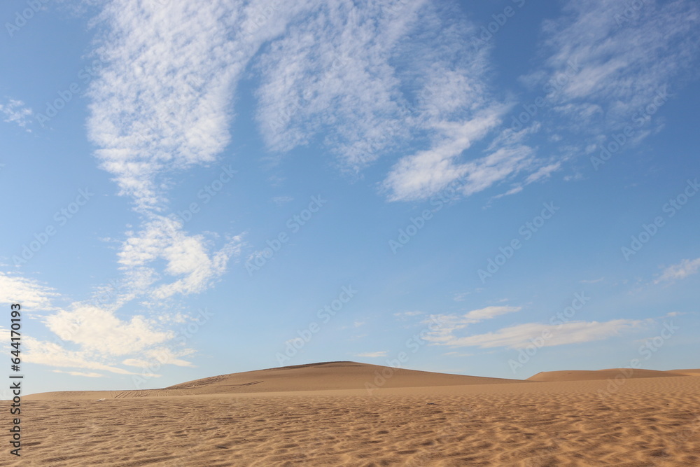 sand dunes in the desert