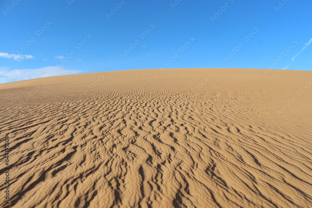 sand dunes in the desert sand dunes in the desert