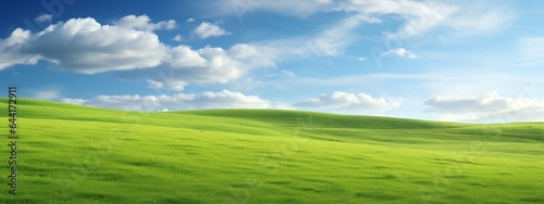 Panorama green grass landscape background