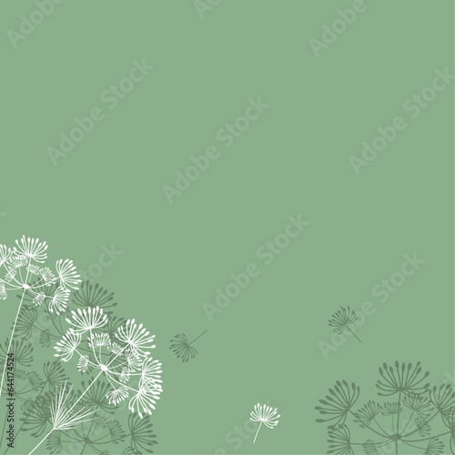 Simple background with dill flowers