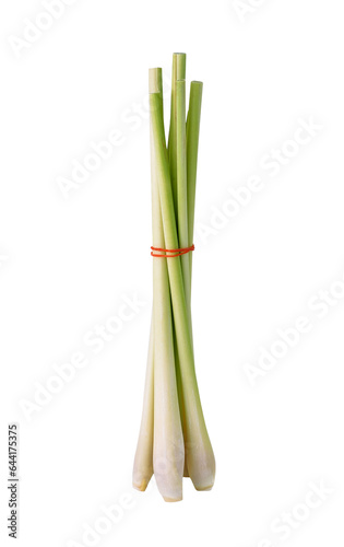 Lemon grass transparent png