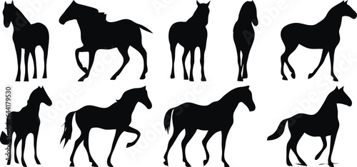 Black and white horse silhouettes