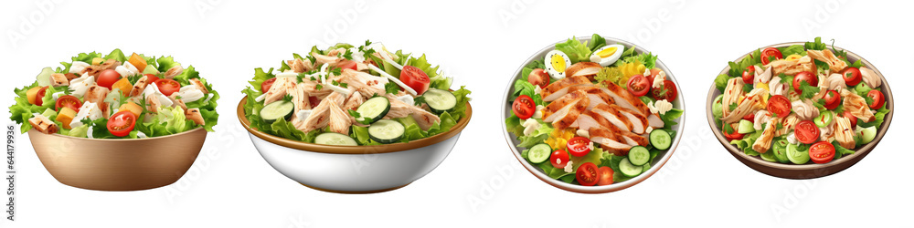 Chicken Salad clipart collection, vector, icons isolated on transparent background