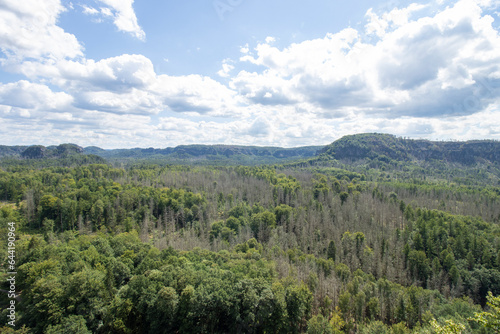 Aussicht vom 'Neuen Wildenstein'