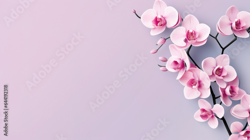 minimalist orchid flower illustration, with copy space