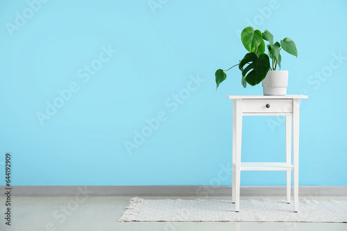 Monstera houseplant on tabl...