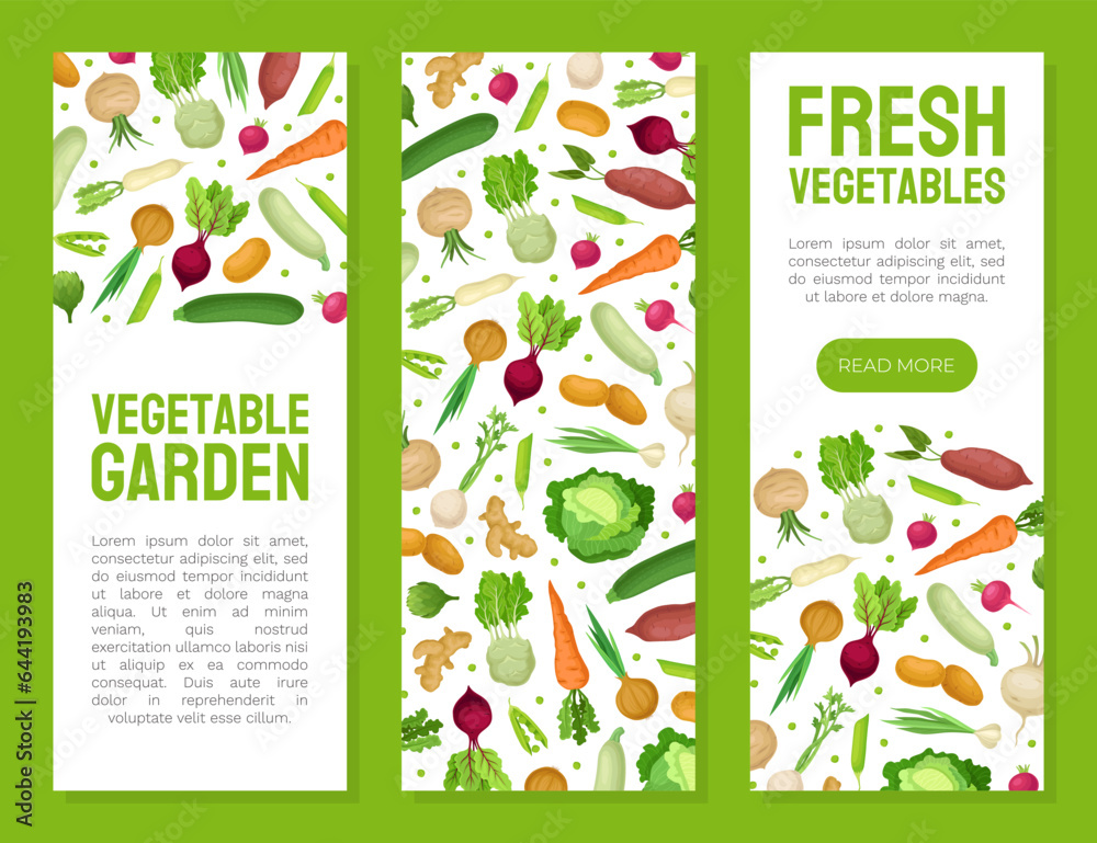 Fresh Organic Vegetable Shop Banner Design Vector Template