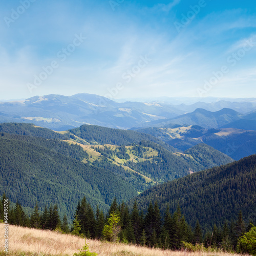 Summer mountain landscape with flowering grassland in front
