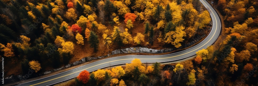 An empty street winding through the deserted forest during the autumn (fall) season