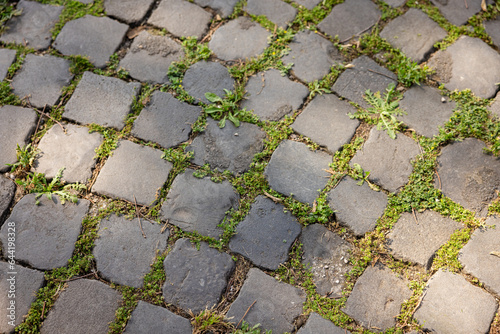 A rustic cement and green grass sidewalk walkway in Rome Italy at a local garden park
