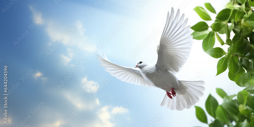 White dove with green leaves in the sky background, copy space. Creative banner of peace and light, God's grace.