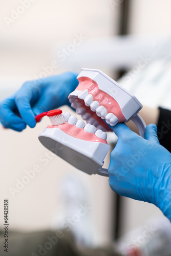 Dentist with blue latex gloves teaching patient to brush teeth correctly demonstrating technique on human jaws model stomatologist showing routine personal hygiene closeup