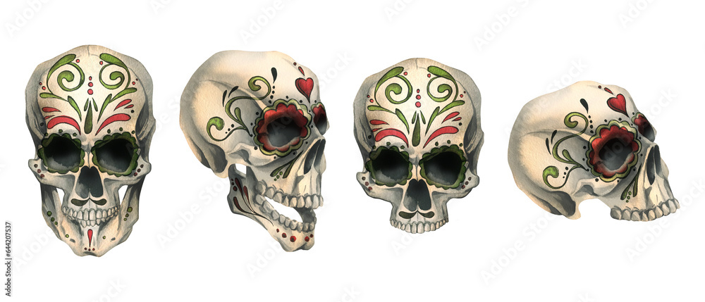 Human skulls profile and front with a painted ornament is evil, terrible. Hand drawn watercolor illustration for day of the dead, halloween, Dia de los muertos. Set of elements on a white background.