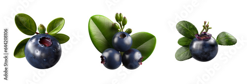 Set of Bilberry isolated on transparent background. Concept of healthy fruit and fruit.