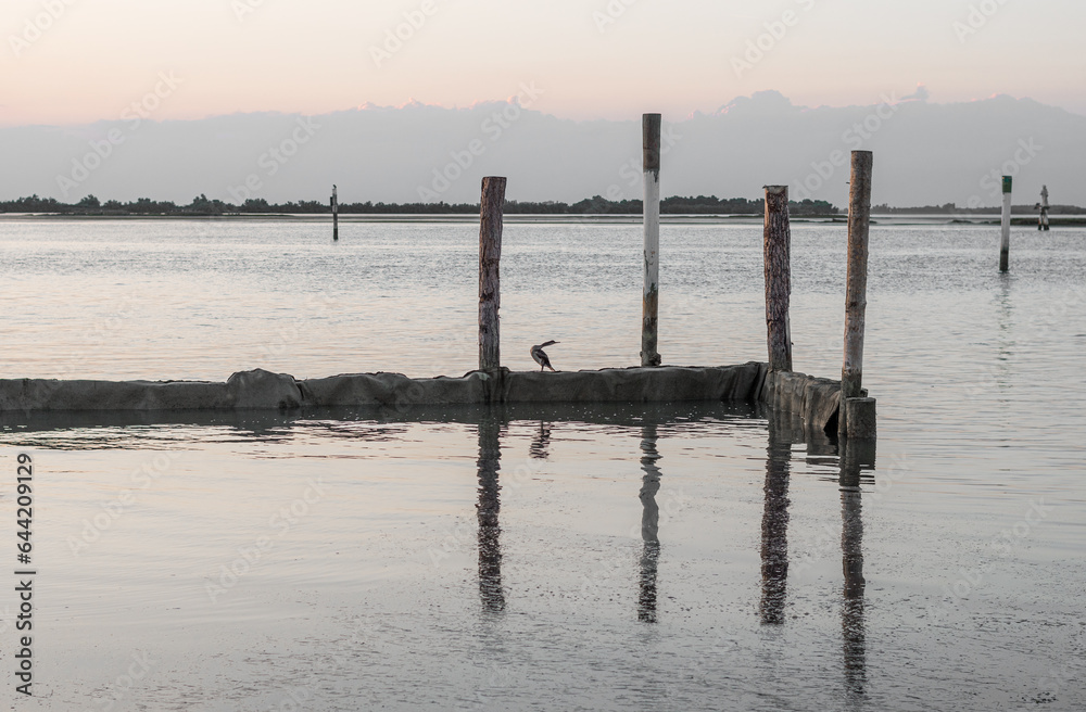 Cormorant in the distance enjoying the sunset on a pier in the Grado lagoon. The wooden poles are reflected on the sea and the atmosphere at sunset.