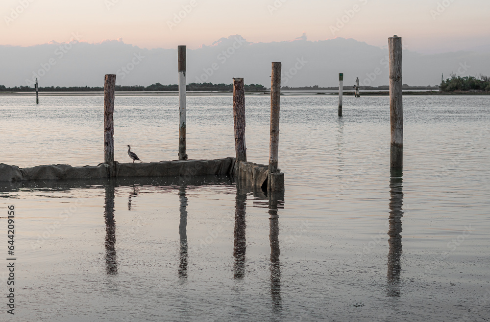 Cormorant in the distance enjoying the sunset on a pier in the Grado lagoon. The wooden poles are reflected on the sea and the atmosphere at sunset.