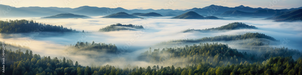 Fototapeta premium Misty woodlands, enchanting forests shrouded in mist, landscape panorama, aerial view