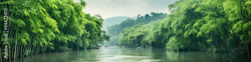 Green bamboo river tropical landscape panorama © Microgen