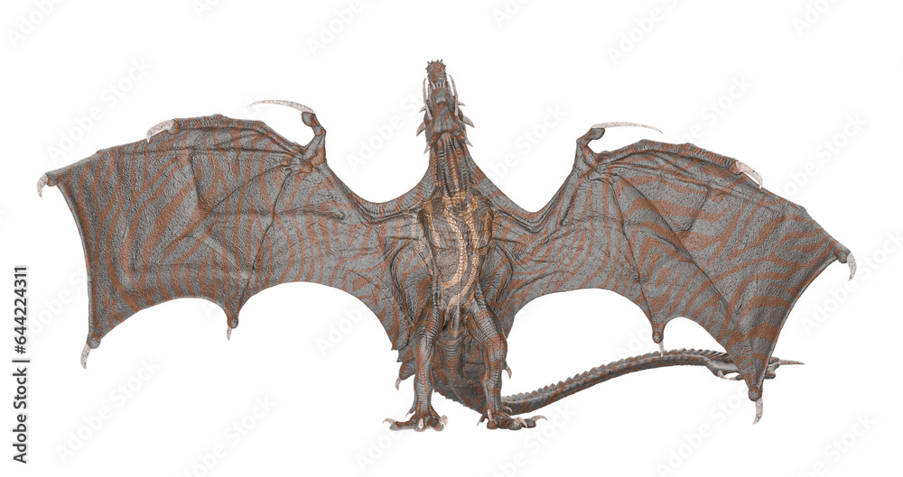 Fototapeta premium dragon is flying 