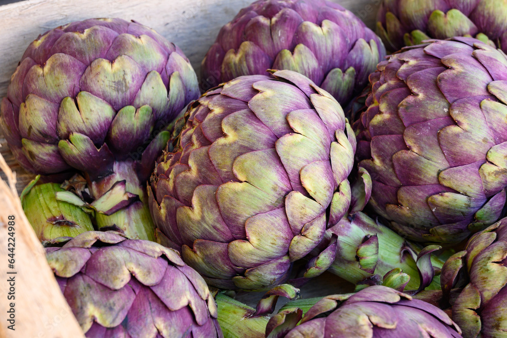 Fototapeta premium Big purple globe artichokes heads vegetables on farmers market in Brittany, France