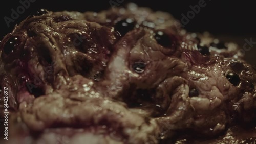 Close-up of disgusting crawling alien creature with many eyes. Sci-fi, science fiction film theme. Ommetaphobia, trypophobia concept. Horror movie clip. Extraterrestrial monster. Parasite.  photo