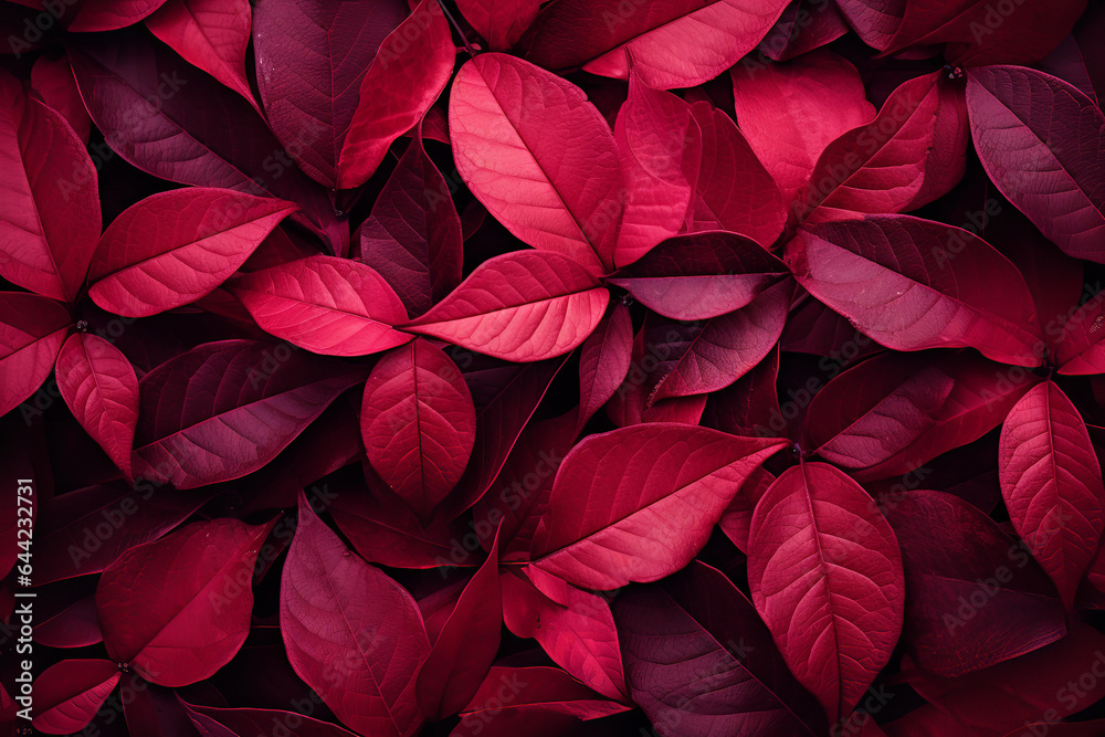 Dark red autumn leaves background, top view. Fall color concept