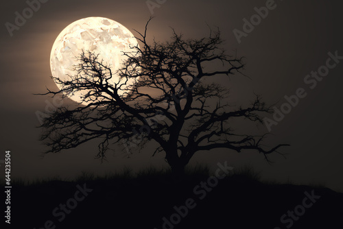 A bare tree silhouetted against a full moon © DCoDesign