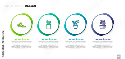 Set Broken pot, Cactus peyote in, Flower and Indoor plant ivy. Business infographic template. Vector
