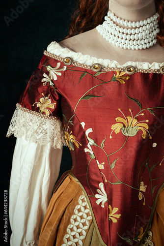 A mannequin wearing a 16th to 18th century historical costume against a dark studio backdrop