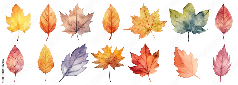 Fototapeta premium Watercolor autumn leaves collection
