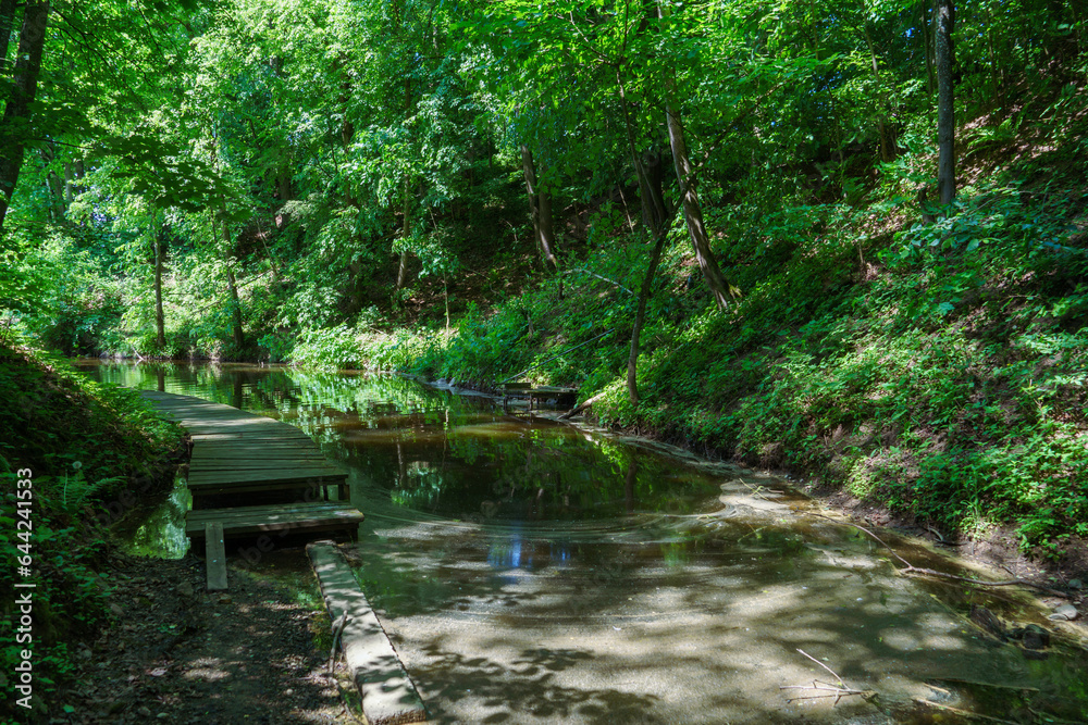 Naklejka premium A wooden bridge on a swampy territory. A small makeshift wooden pier on the overgrown reed bank. Clean river water