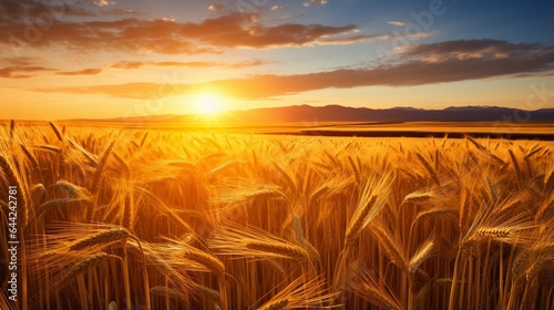 an image of a serene golden wheat field at sunset with the sun's warm glow casting long shadows 