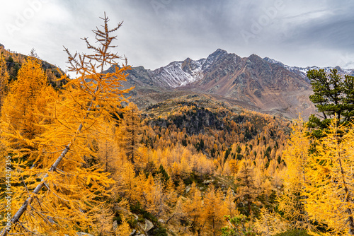 autumn landscape in the mountains