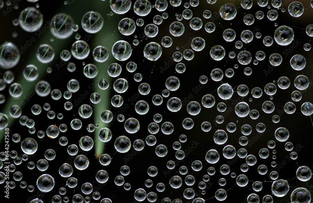 Close-up of tiny water droplets on a spider web set against a black background