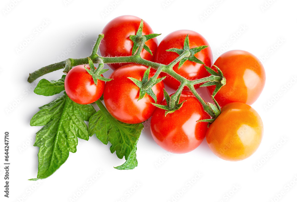 Fresh Tomatoes with green leaves. Tomato vegetables brunch. Vegetable isolated on white background. Organic natural farm grown food harvest Fresh Tomatoes with green leaves. Tomato vegetables brunch. Vegetable isolated on white background. Organic natural farm grown food harvest