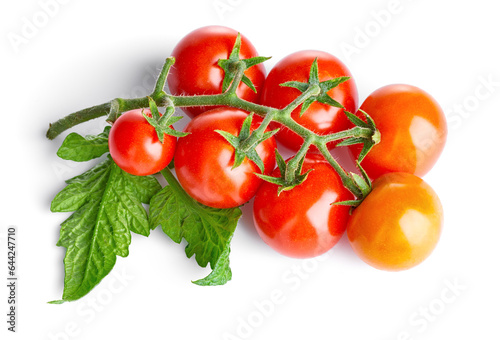 Fresh Tomatoes with green leaves. Tomato vegetables brunch. Vegetable isolated on white background. Organic natural farm grown food harvest