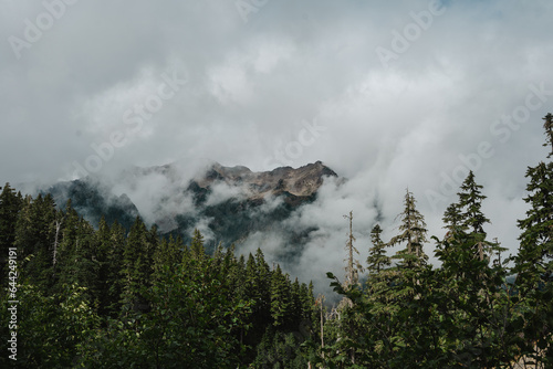 mountain in the clouds. Hoh river, Olympic National park, Washington USA © Mitchell