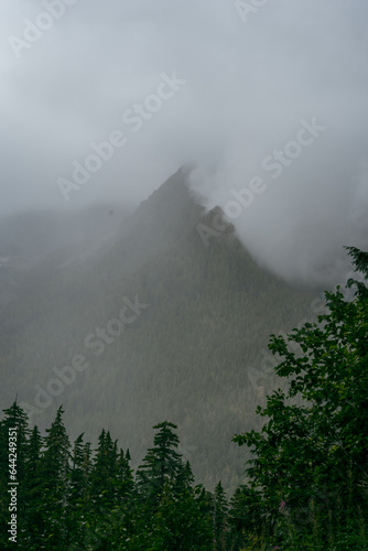 mountain in the clouds. Hoh river, Olympic National park, Washington USA © Mitchell